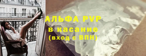 гидра Инта