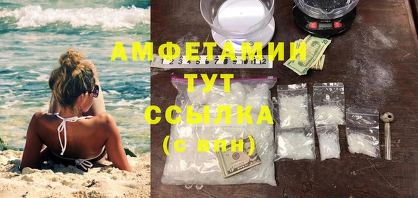 mdpv Каменка