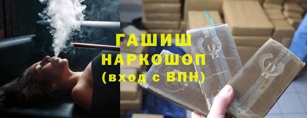 гидра Инта
