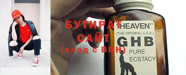 гидра Инта