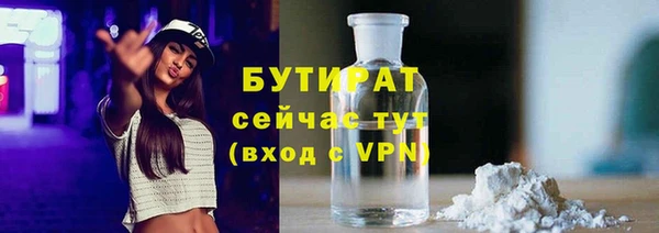 гидра Инта