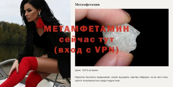 гидра Инта