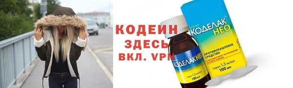 гидра Инта