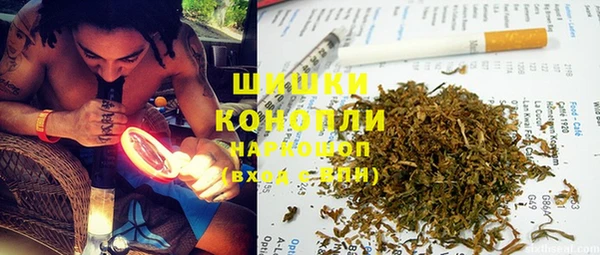 амф Инсар