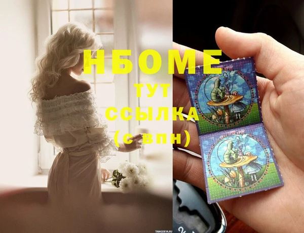 амф Инсар