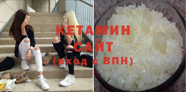 гидра Инта