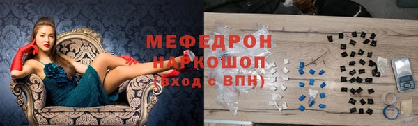 гидра Инта