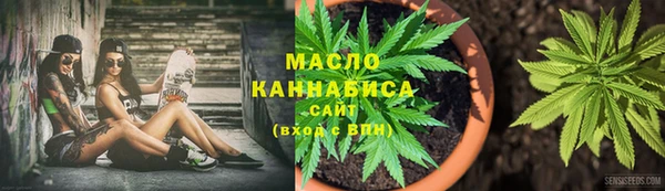 гидра Инта