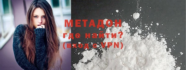 гидра Инта