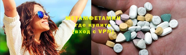гидра Инта
